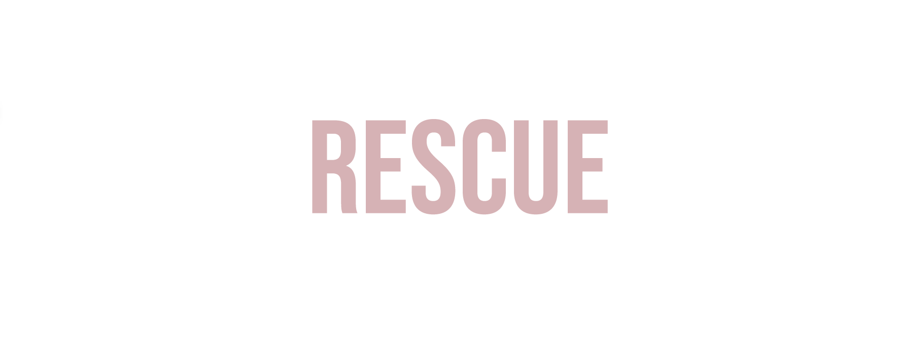 MoneyRescueGroup